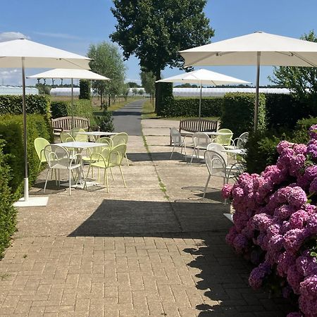Villa Tannine Et Cuisine Jabbeke  Exterior foto